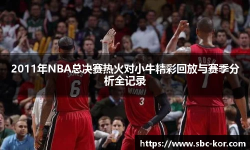 2011年NBA总决赛热火对小牛精彩回放与赛季分析全记录